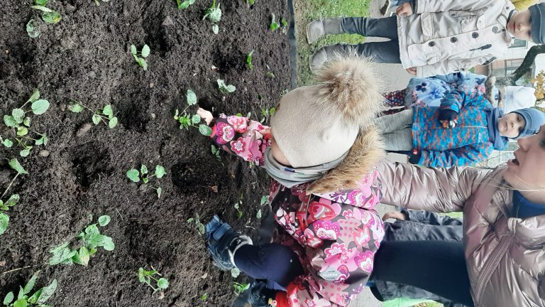 Read more about the article Akcija „Papuoškime vaikų darželį gėlėmis”